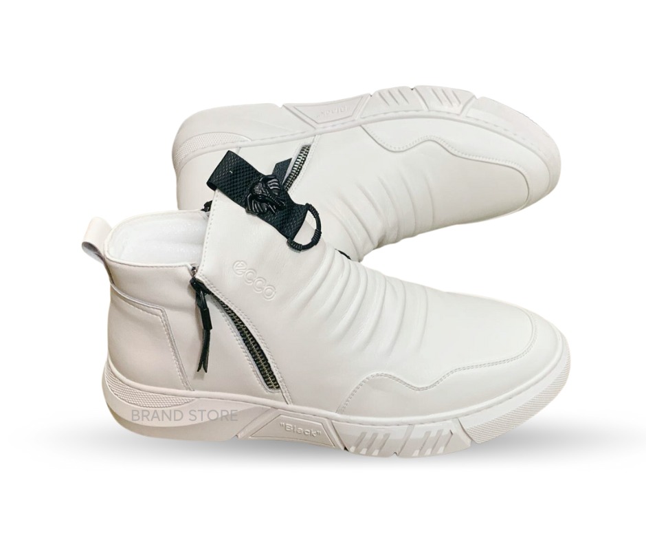 WhatsApp Image 2023-08-04 at 18.46.45