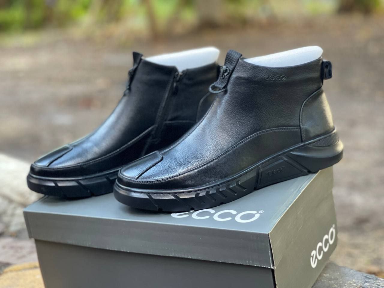 IMG_20240909_170338_932