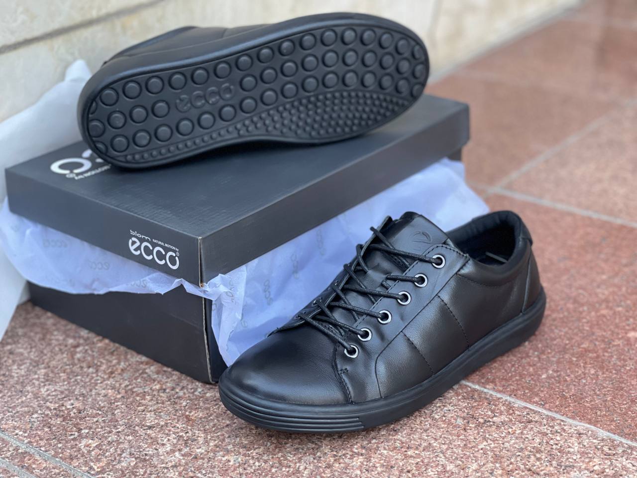 WhatsApp Image 2025-01-21 at 01.04.03