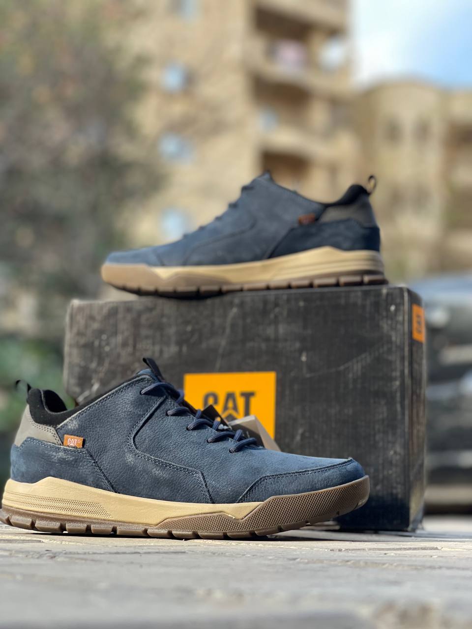 WhatsApp Image 2025-02-11 at 12.03.35 (1)