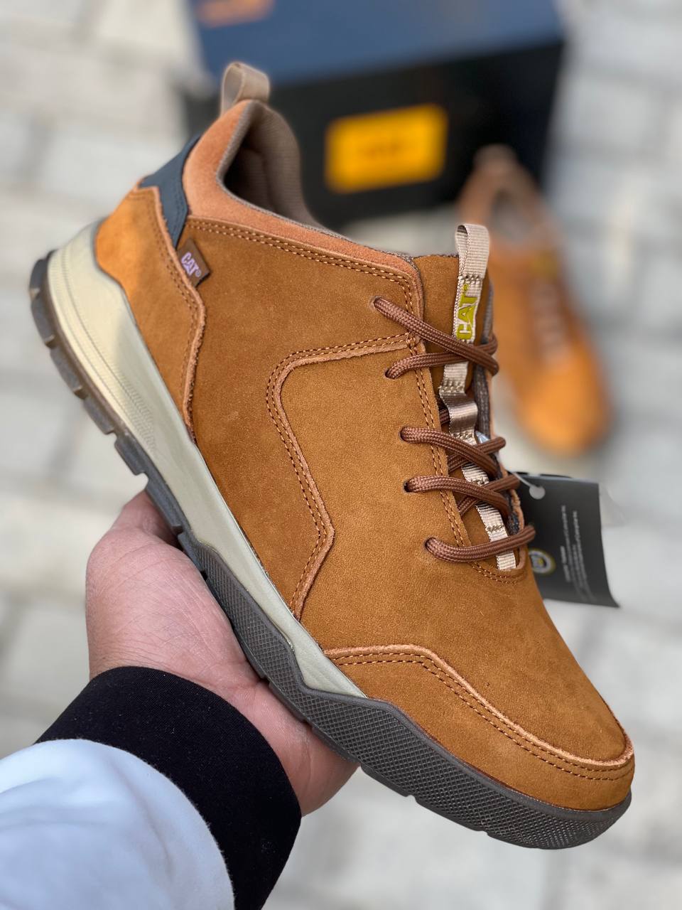 WhatsApp Image 2025-02-11 at 12.03.36 (3)