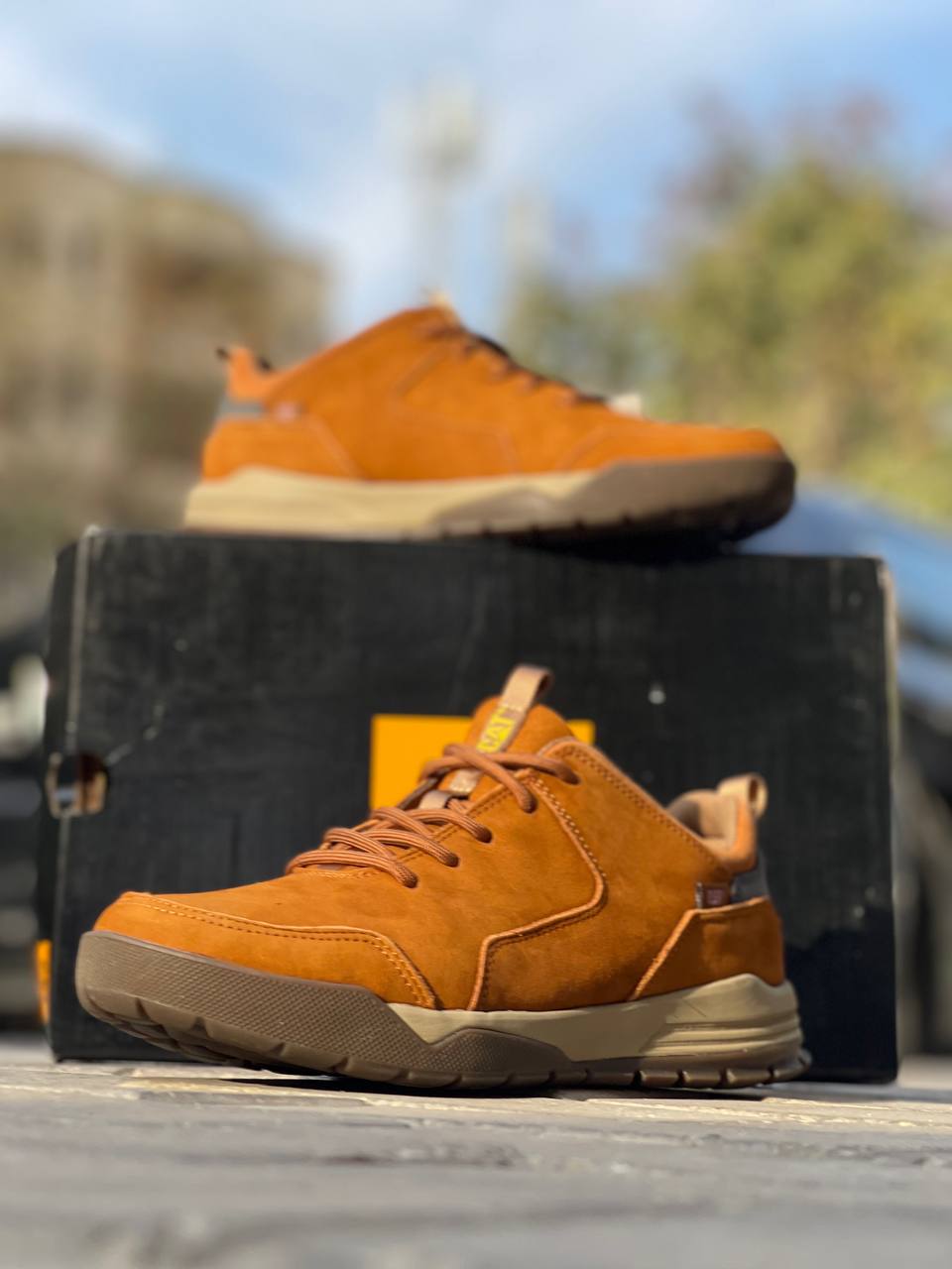 WhatsApp Image 2025-02-11 at 12.03.36